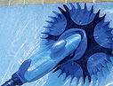 Zodiac G4 Pool Cleaner