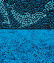 Blue Dolphin